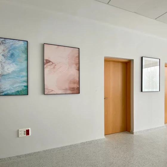 Cuadros elementos orgánicos playa en pasillo de sala de espera