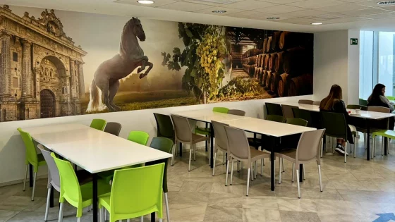 Rotulación y mobiliario interior cafetería UCA