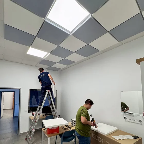 Instalación soluciones acústicas para laboratorios en Cádiz
