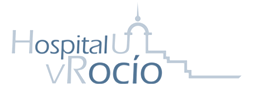 virgendelrocio