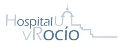 virgendelrocio
